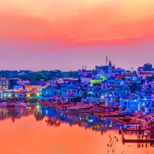 Jaipur 4